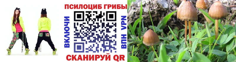 наркошоп  Борисоглебск  Галлюциногенные грибы MAGIC MUSHROOMS 